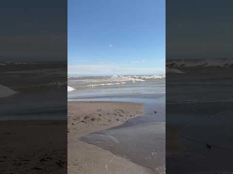 Point Pelee, the southernmost point of mainland Canada, is a spit of land that juts into Lake Erie!