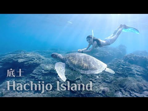 八丈島でシュノーケリング：Free Diving in Japan's Snorkeling Spot Hachijo Island Sokodo | Turtle, Coral, Arch