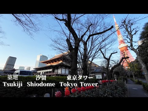 A walk to Tsukiji, Shiodome and Tokyo Tower in the early morning Tokyo Japan