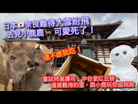 【KK旅遊趣】日本🇯🇵關西自由行｜一起去奈良去找小鹿🦌玩囉 ｜竟讓我看到大雪紛飛感冒都值了｜中谷堂よもぎ餅(艾蒿)｜興福寺五重塔｜大佛布丁｜JAPAN NARA TRAVEL｜男ひとり旅