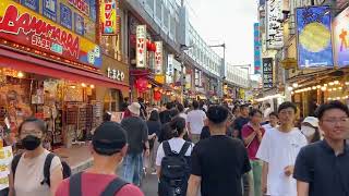 Tokyo Ueno Walking Tour - Taitō Ward - Ueno Park Area ans Local Streets