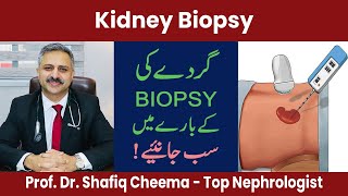 Kidney Biopsy Indications, Procedure & Complications