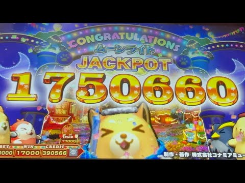 [アニマロッタ] ムーンライトJACKPOT 1750660WIN