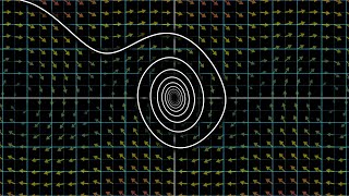 Differential equations, a tourist's guide | DE1