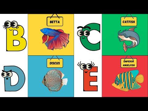 ABC Sea Creatures 🌊🐠| Fun Alphabet Song for Kids | Learn Marine Animals | UZR Learning | #abcd #kids