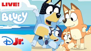 🔴 LIVE! Bluey Full Episodes | NEW Episodes Added | Keepy Uppy, Sleepytime and MORE! | @disneyjr