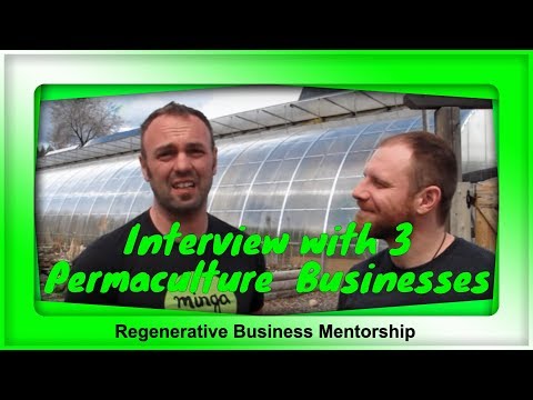 Interview with 3 Permaculture Businesses