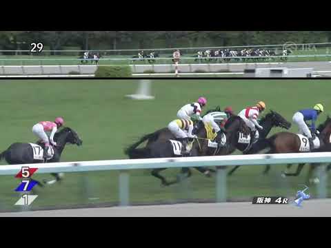 2022/10/22　サザーランド　新馬戦