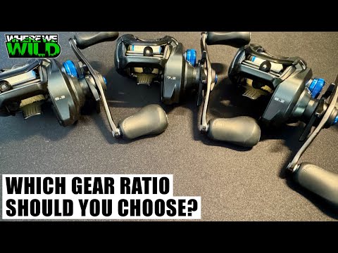 WHICH GEAR RATIO TO USE FOR EACH TECHNIQUE - Fishing Reels - Gear Ratio Explained