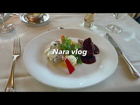 vlog. Lunch at Nara Hotel "Main Dining Room Mikasa" 🍽️