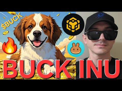 $BUCK - BUCK INU TOKEN CRYPTO COIN HOW TO BUY BNB BSC DOGE DOG MEMECOIN PANCAKESWAP BLOCKCHAIN MEME