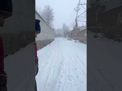 snowfall Kashmir | Kashmir | Snowfall | kashmir  | Snowhite | Heavy Snowfall in Kashmir