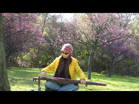 Victoria plays Guqin "Three Variations of Plum Blossom" 梅花三弄 in Schabarum Park 01/22/2023