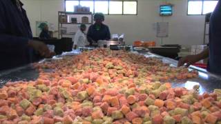 The dried fruit factory process