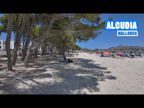 Alcudia Mallorca 🇪🇸 Afternoon ☀️