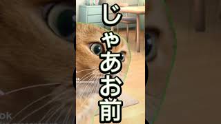 手袋って逆から言って【猫ミーム】#猫ミーム #cat #おすすめにのりたい #shorts #short