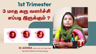 கர்ப்பமான முதல் மூன்று மாதம் எப்படி இருக்கும்?| First Trimester Pregnancy Care in Tamil| Dr Ashika