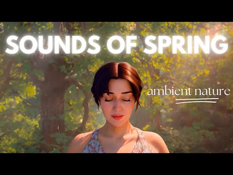 Renew Your Spirit: Enchanting Ambient Nature Sounds for Meditation, Peace, Study & Deep Relaxation