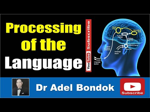 Cortical Processing of Language, Dr Adel Bondok