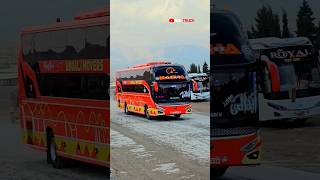 Abdali Sleeper Bus | Double Glass Bus | Red Bus | Bus truck #shorts #sleeperbus #redbus