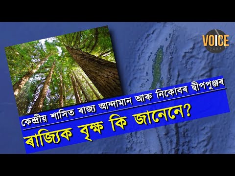 ভাৰতৰ কেন্দ্ৰীয় শাসিত অঞ্চল সমূহৰ ৰাজ্যিক প্ৰাণী আৰু ৰাজ্যিক বৃক্ষ সমূহৰ নামবোৰ জানেনে?