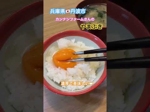 兵庫県🇯🇵丹波市 「やまぶき」って卵がめちゃ美味しいのです！もちろん黄身は濃厚！白身は透明で雑味無し！#カンナンファーム #たまご #たまごかけごはん #TKG #丹波市 #グルメ #卵