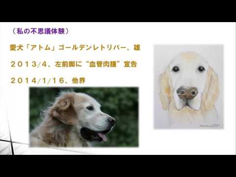 体験を語る 薬物療法　川崎 陽二 さん