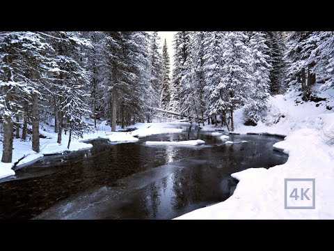 Stunning Scenery & Peaceful Sounds of a Snowy Mountain Forest in 4K UHD: Water Sounds for Sleeping