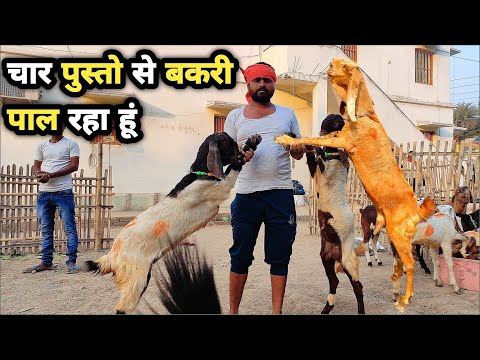 सभी बकरीयो की असली पहचान और कीमत जान लीजिए | bakri palan | Bakri farm | goat farming business