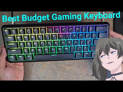 Waizowl Lightning 60 Review.