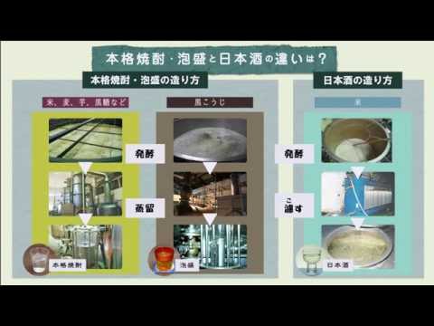 講座4　本格焼酎・泡盛の商品知識　Q6.本格焼酎と日本酒の違いは？