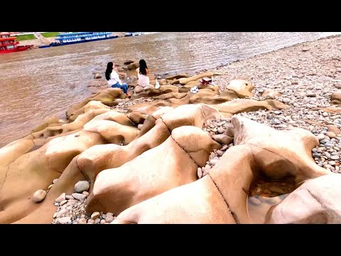 嘉陵江见底，河床大面积裸露 | A major tributary of the Yangtze River runs dry amid the worst drought in decades.