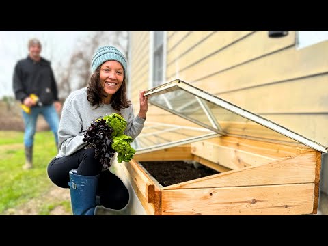 Not Everything Goes as Planned (even building a simple cold frame)