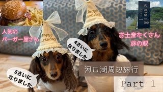 #8-1 レジーナリゾート富士と犬連れ河口湖周辺モデルコース旅しおり有り