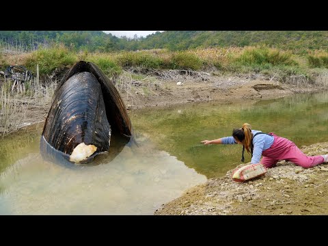 Digging into treasures in the freshwater river, the birth of top-quality pearls