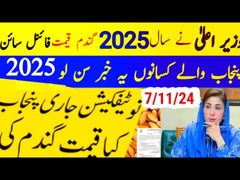 Wheat Support Price 2025 گندم کی نئی سرکاری قیمت فائنل سائن 2025/today Gundam rate/today munji rate