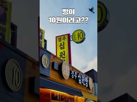 경주에 판다는 "10원 빵" 리뷰 ㄷㄷ #Shorts