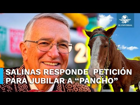 Piden ayuda a Salinas Pliego para jubilar a caballo carretonero  “Pancho”