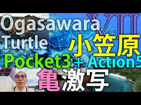 [Part7] Scuba diving with green sea turtles and evening drone shots at two beaches. Ogasawara tour