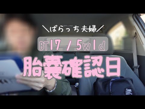 【不妊治療】胎嚢確認/まさかの出来事の連続/モヤモヤ多め/妊婦健診/BT17/5w1d/4回目の移植/最後の卵ちゃん/胚盤胞移植/グレード3、4AC+/子宮筋腫/不育症/黄体ホルモン補充/1人目妊活中