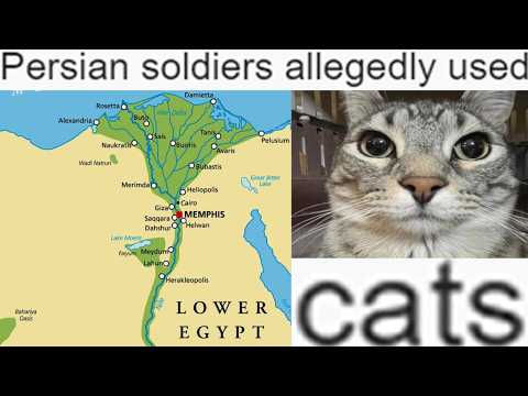 How Iran Used Cats to Conquer Egypt