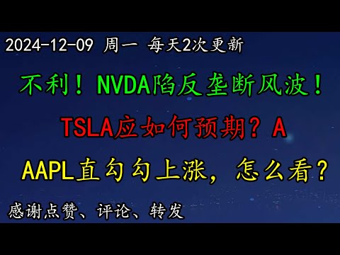 美股 见顶吗？不利！NVDA陷反垄断风波！头肩大顶吗？TSLA应如何预期？AAPL直勾勾上涨，怎么看？SOXL应该如何预期？SMCI还涨吗？MSFT、PYPL、SOXL、NVDA、TSLA、AAPL