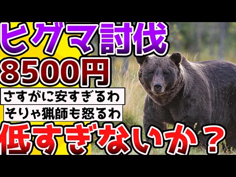 【2ch動物スレ】猟友会、ヒグマの駆除を辞める。「日当8500円は安すぎる」→命かけてるのにこれはないだろ→2chでも大激論に。。 #生き物#ニュース