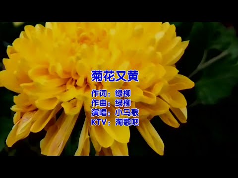 菊花又黄-小马歌-主唱 KARAOKE