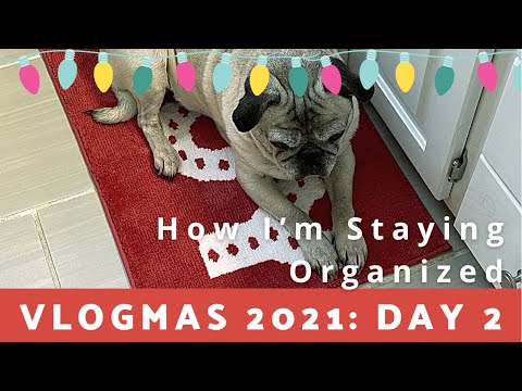 VLOGMAS DAY 2: How I Stay Motivated & Organize My Thoughts and Plans