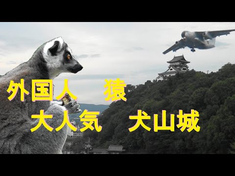 241026_愛知旅[03]犬山城