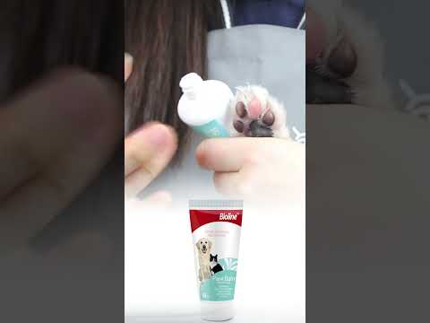 Paw-sitively Clean: Foam & Balm for Furry Feet!