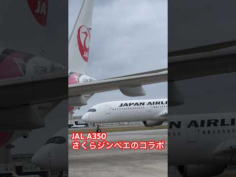 【真横で】JALコラボ！A350 3号機とさくらジンベエを見る！真横で離陸を感じる！ド派手にテイクオフ！凄い！那覇空港！#jal#那覇基地#shorts