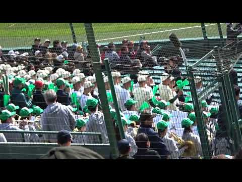 【センバツ2024】報徳学園の応援　～トリトン、SHAKE、あまちゃん他～