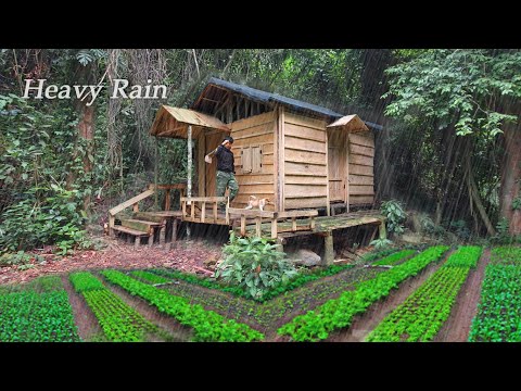 200 Day of Bushwalking,Building Off-Grid Cabin,Growing Vegetables for Sale,Doing hydroelectric power